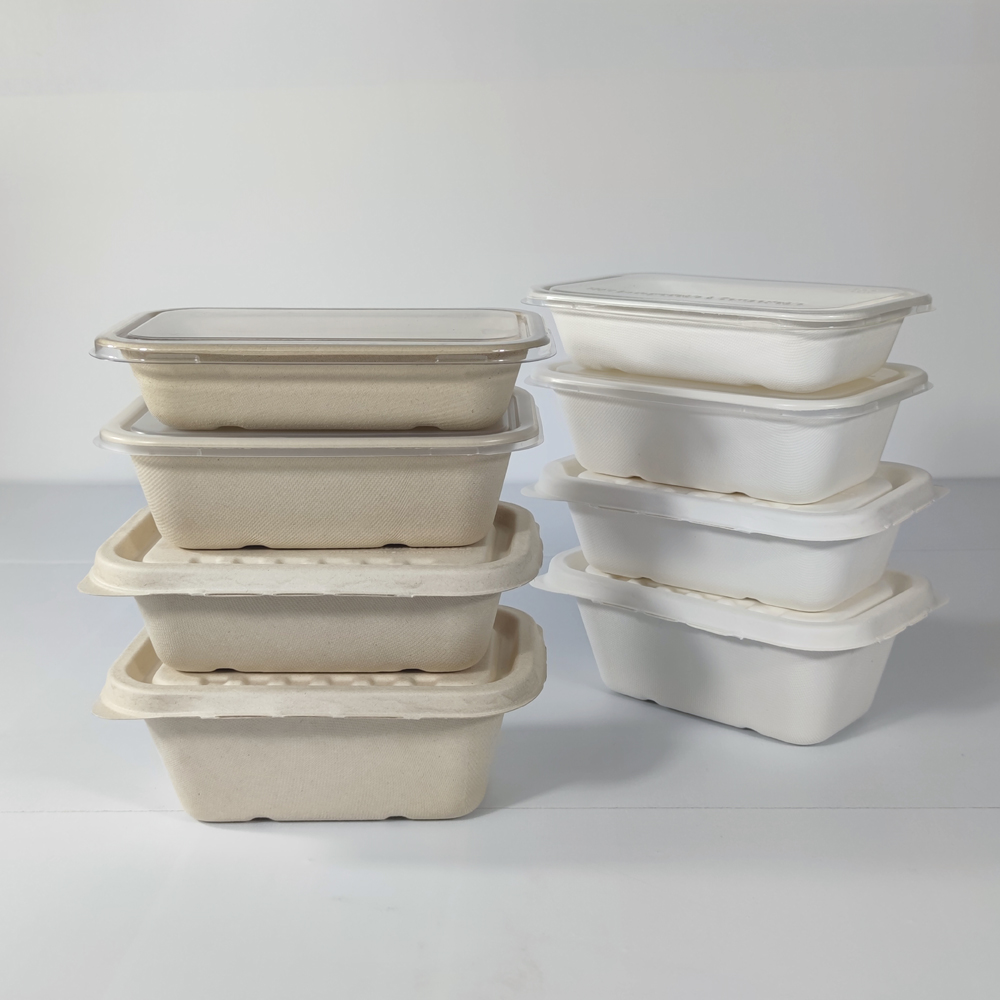 Eco Friendly Disposable Catering Trays with Lids