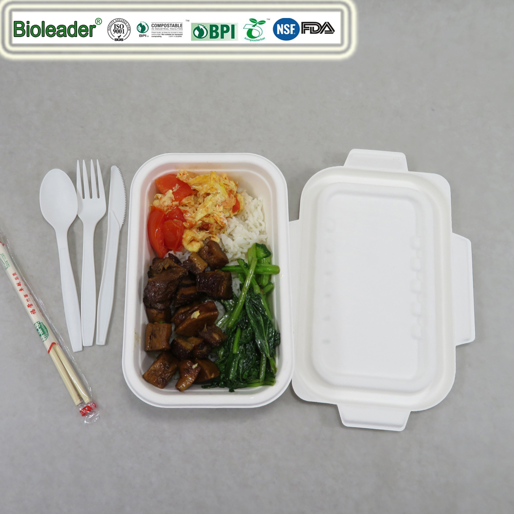 Disposable Food Containers for Takeaway