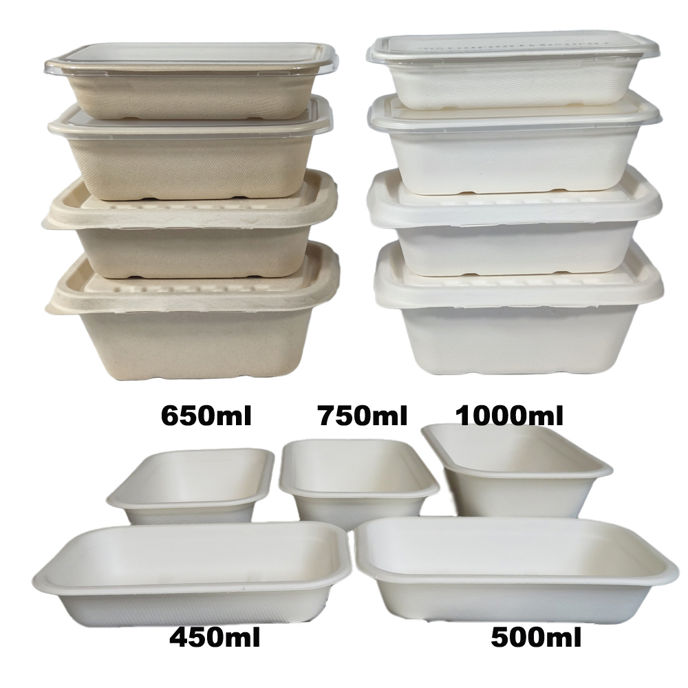 Eco Friendly Disposable Catering Trays with Lids