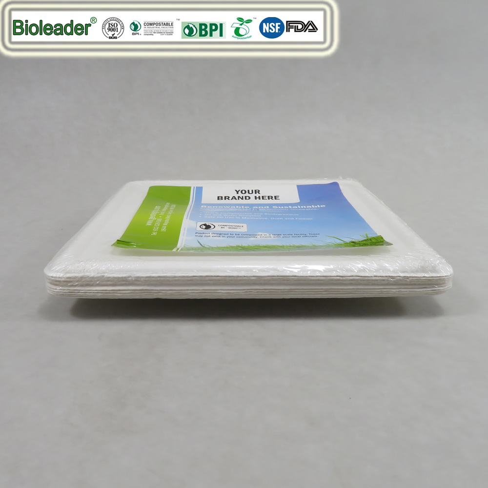 Biodegradable Sugarcane Bagasse Small Square Plates Paper Dessert White