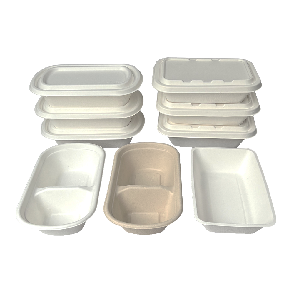 Biodegradable Tableware Food Container Packaging