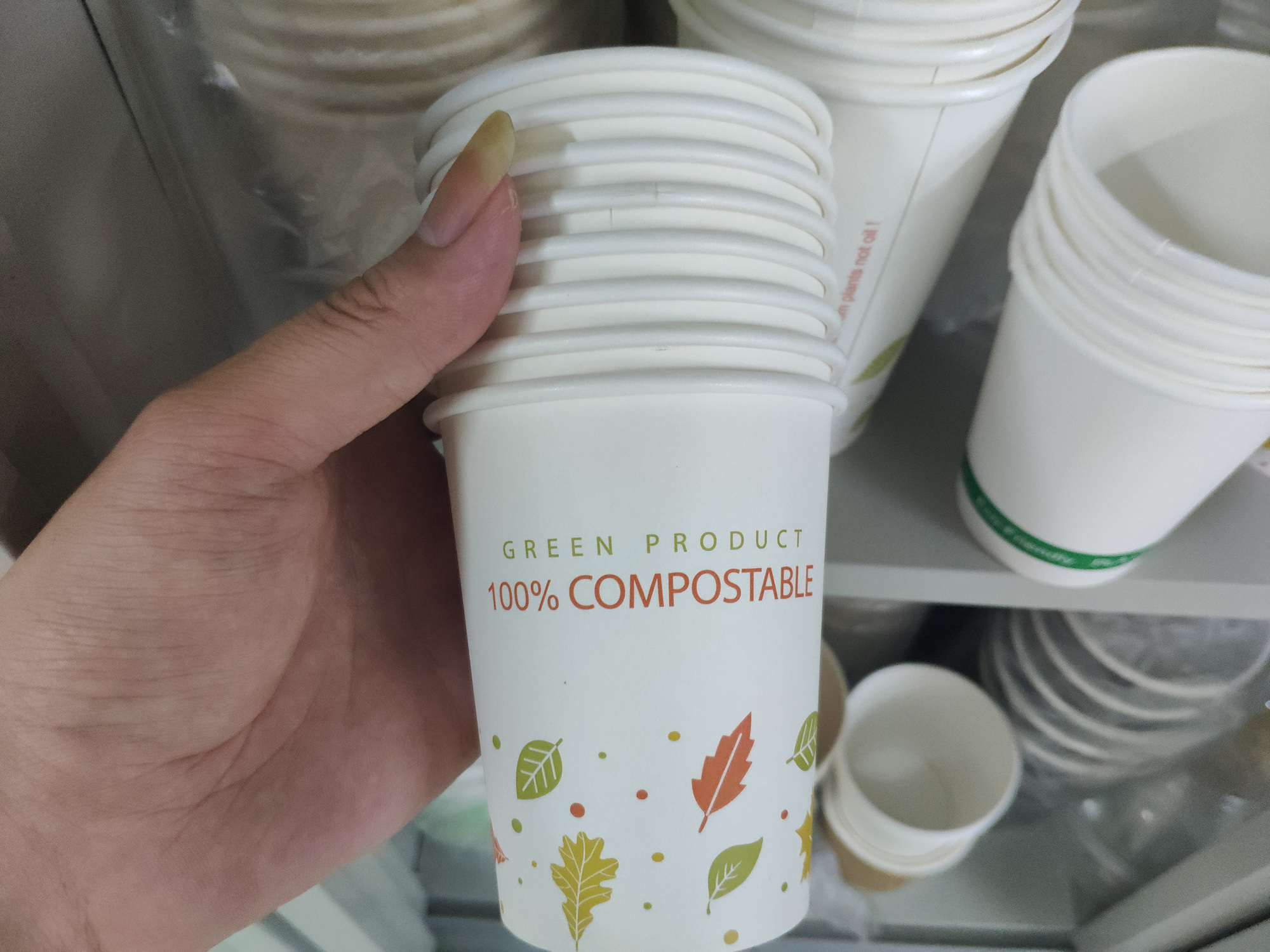 PLA Coated Paper Cups Compostable