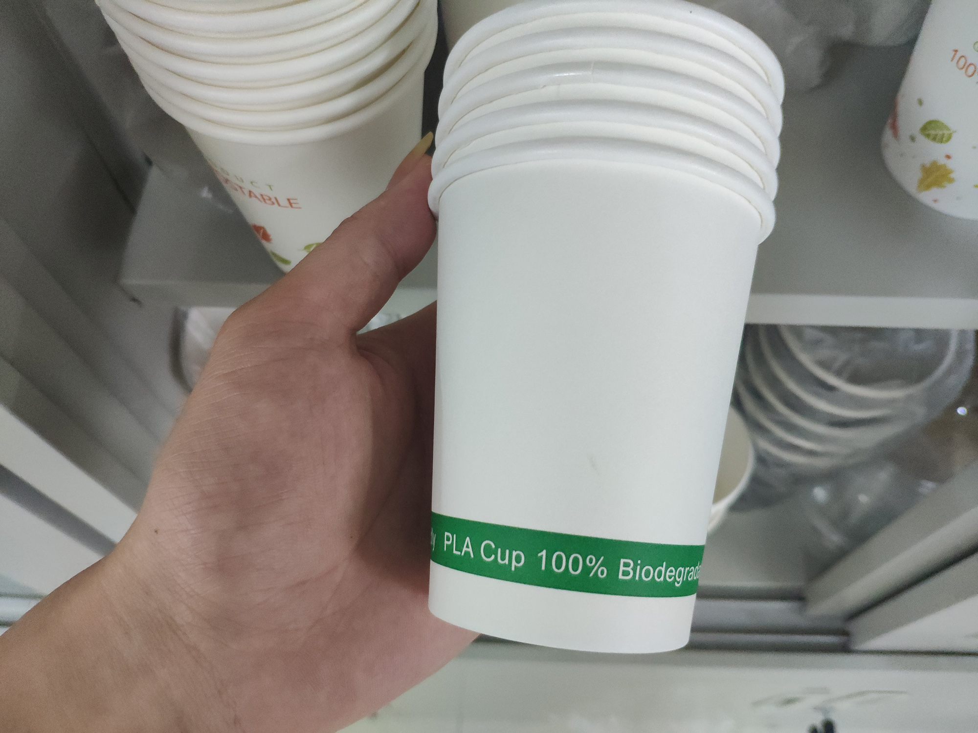 PLA Coated Paper Cups Compostable