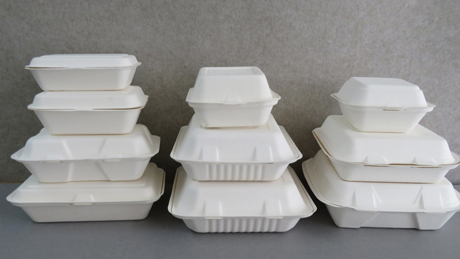 Bagasse Food Container