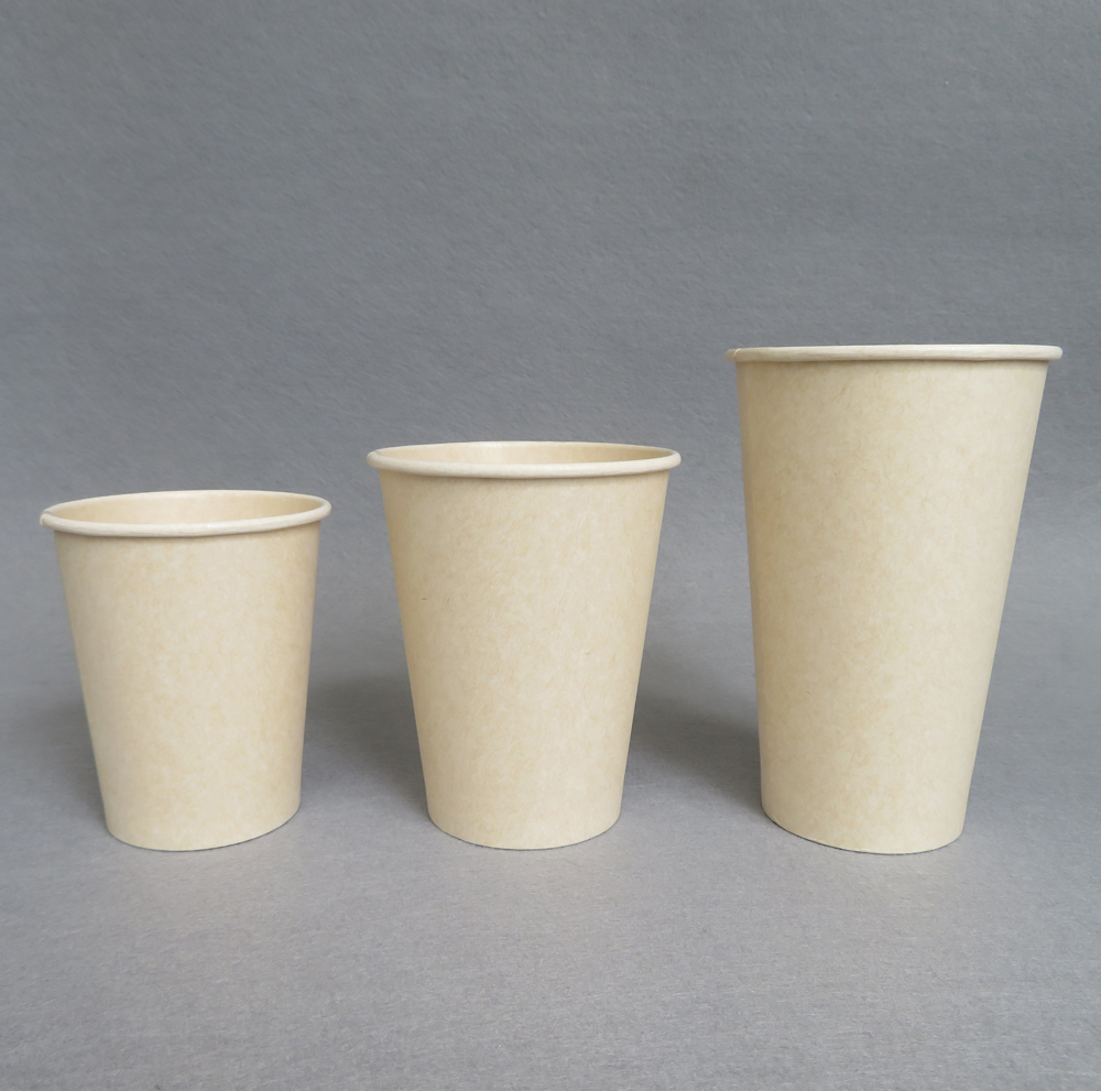 Disposable Coffee Cups with Lids