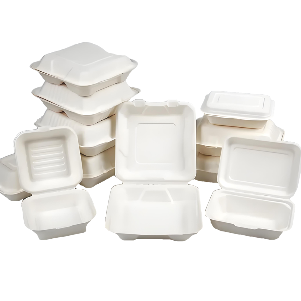 Disposable Bento Containers