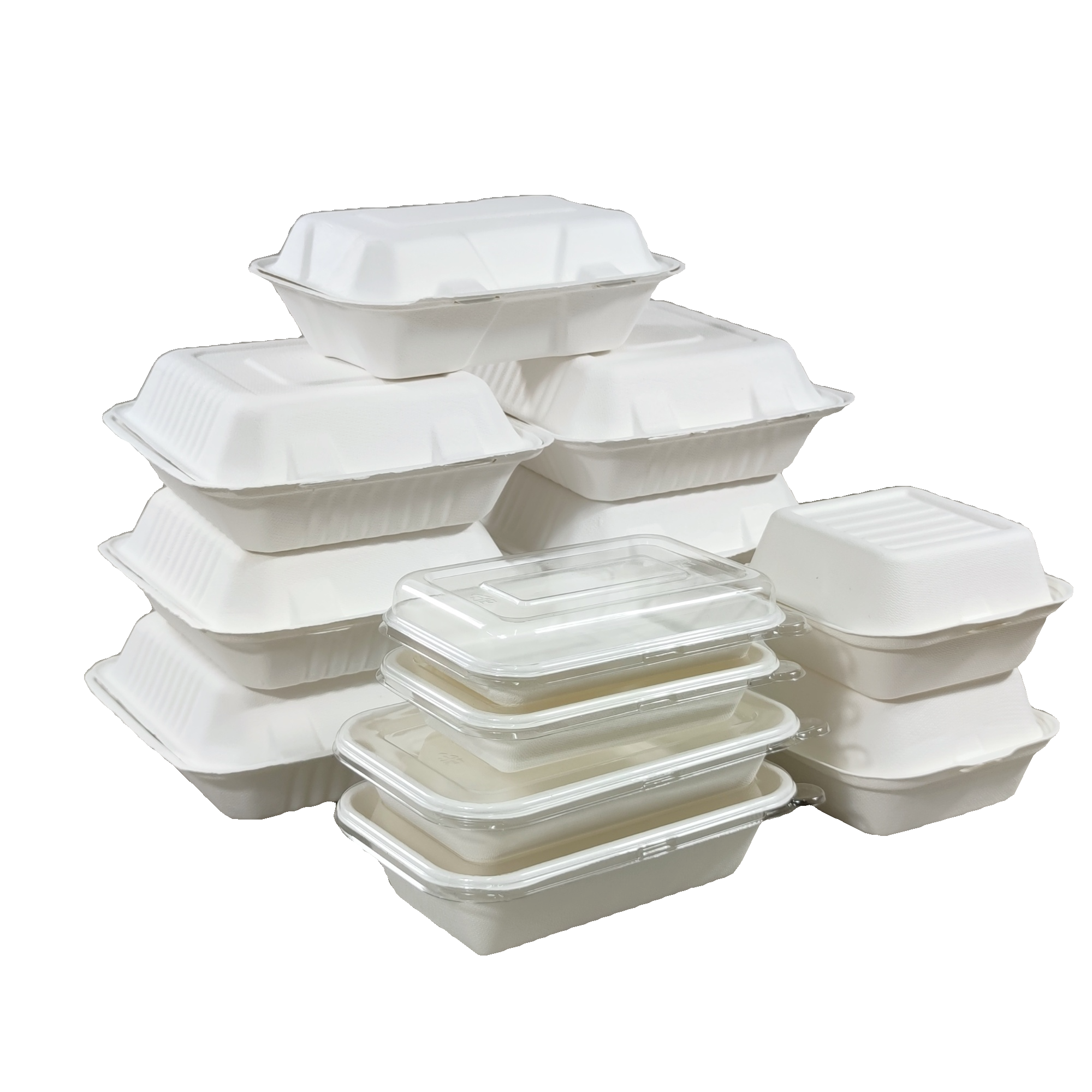 Disposable Food Containers