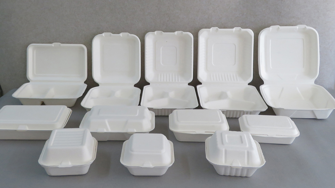 Bagasse Food Container