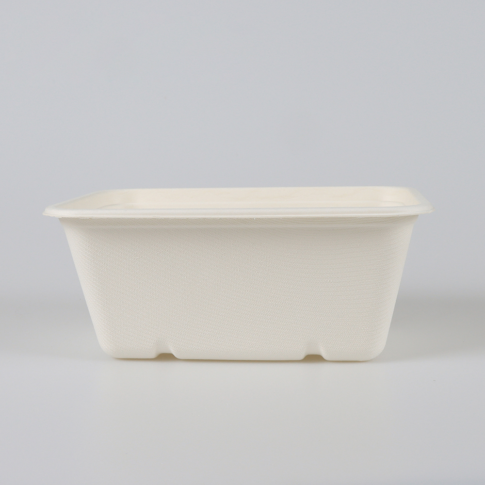 Sugarcane Bagasse Molded Pulp Trays