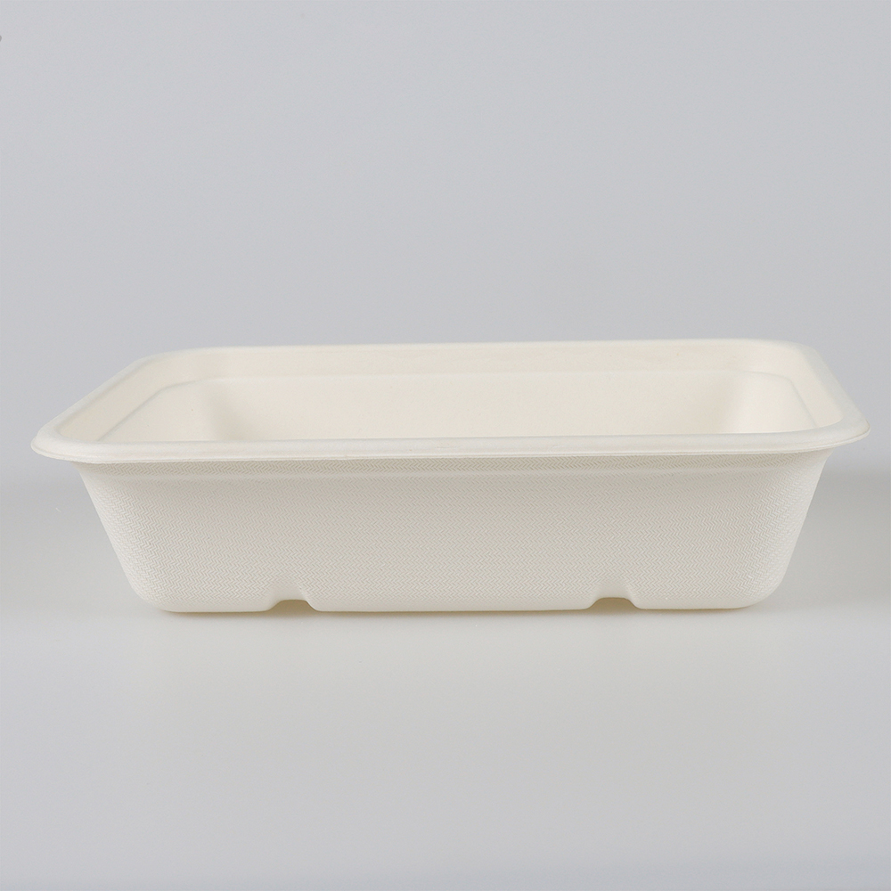 Eco Friendly Trays with Lids