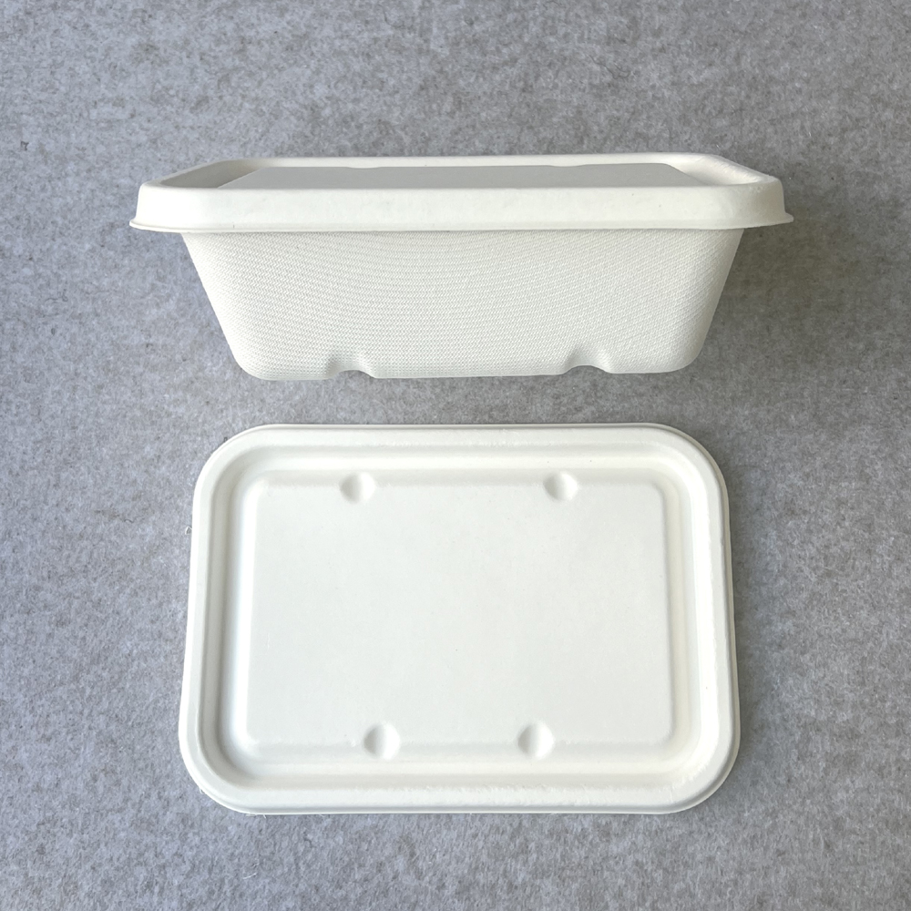 Eco Friendly Trays With Lids