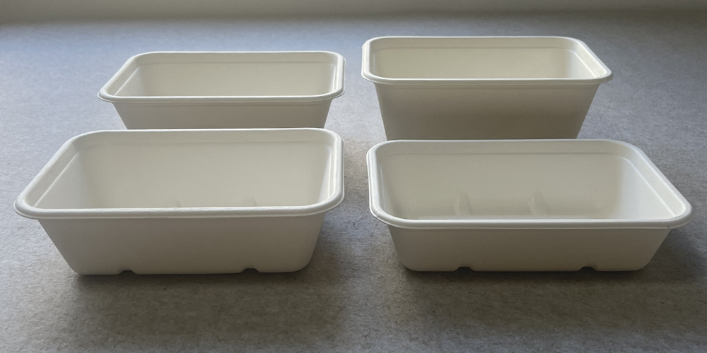 bagasse tray