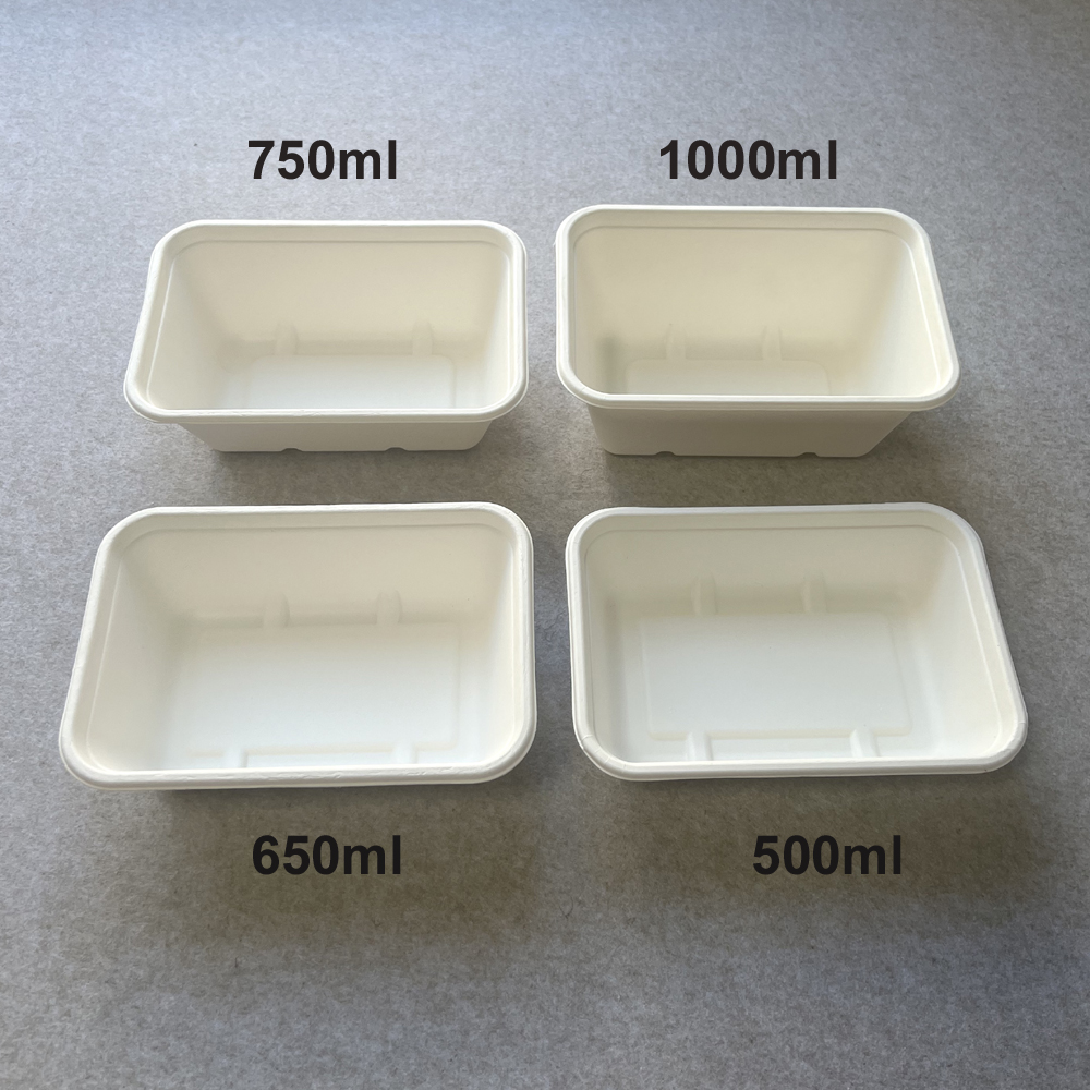 bagasse food trays