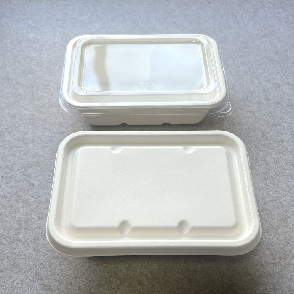 Eco Friendly Trays with Lids