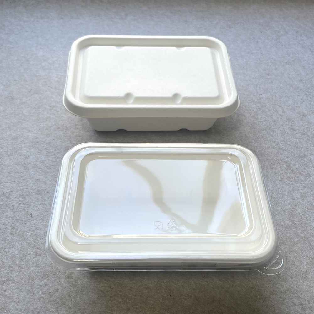 Eco Friendly Trays with Lids