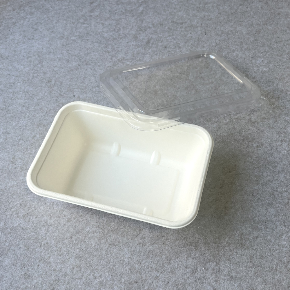 Sugarcane Tray with PET Lid