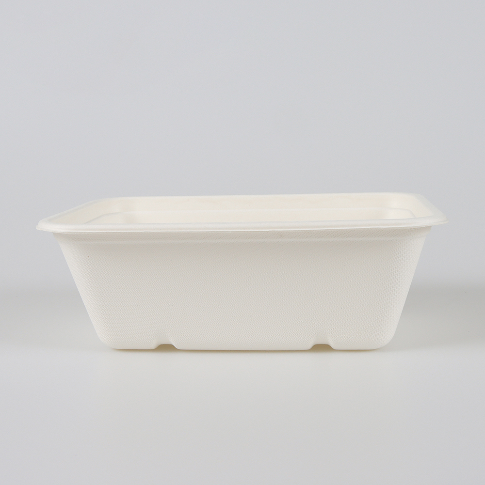 Disposable Food Trays with Lids