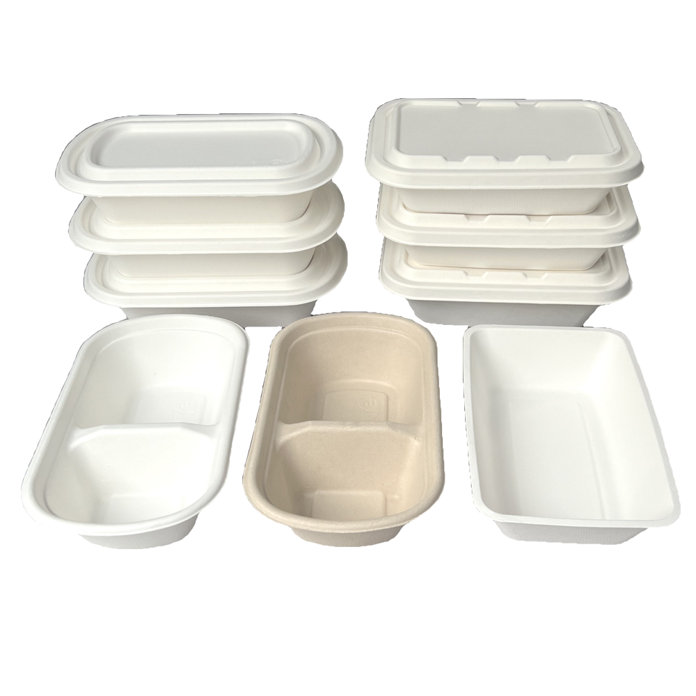 Biodegradable Lunch Containers Biodegradable Food Containers with Lids