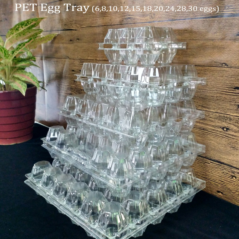 PET EGG TRAY