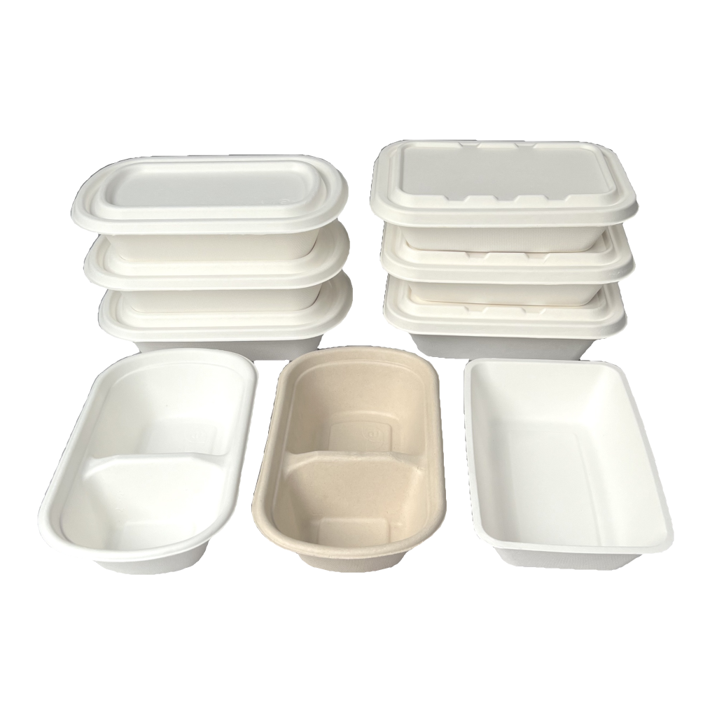 Sugarcane Bagasse Food Containers