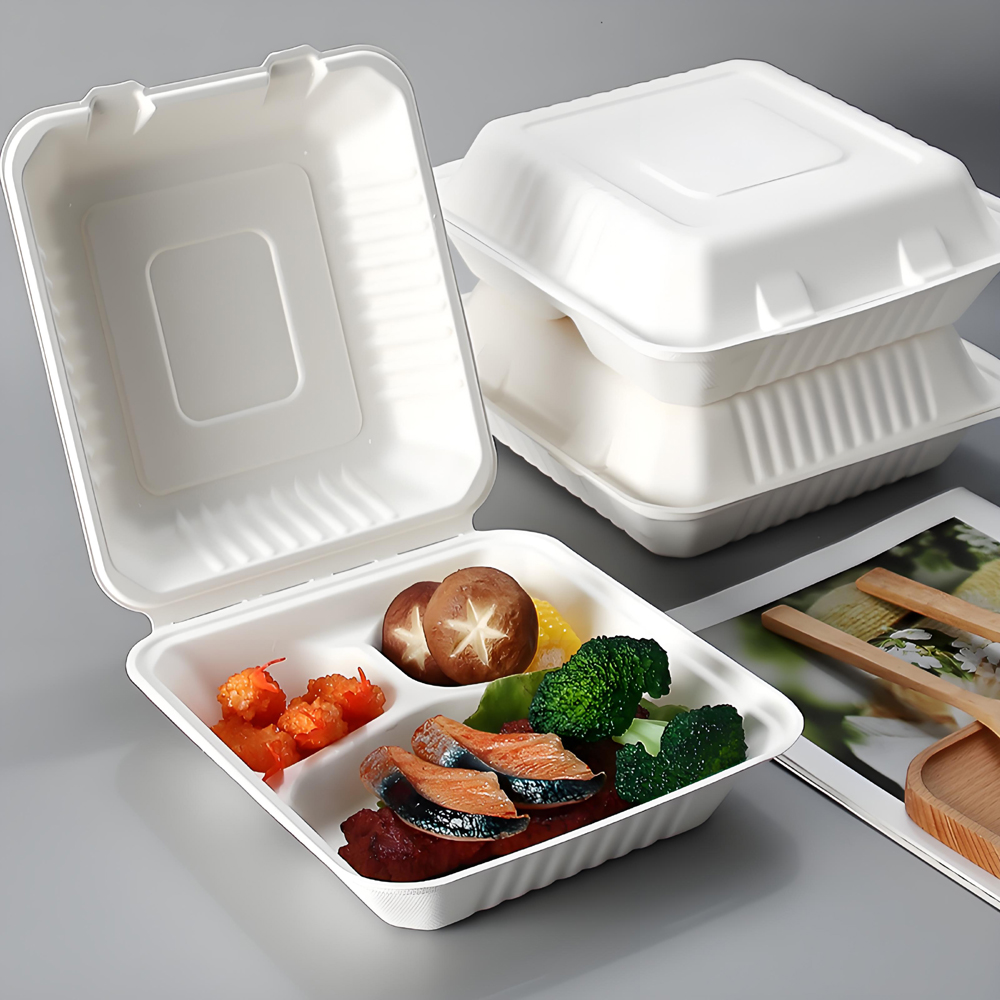 Sugarcane Bagasse Takeout to Go Container Boxes