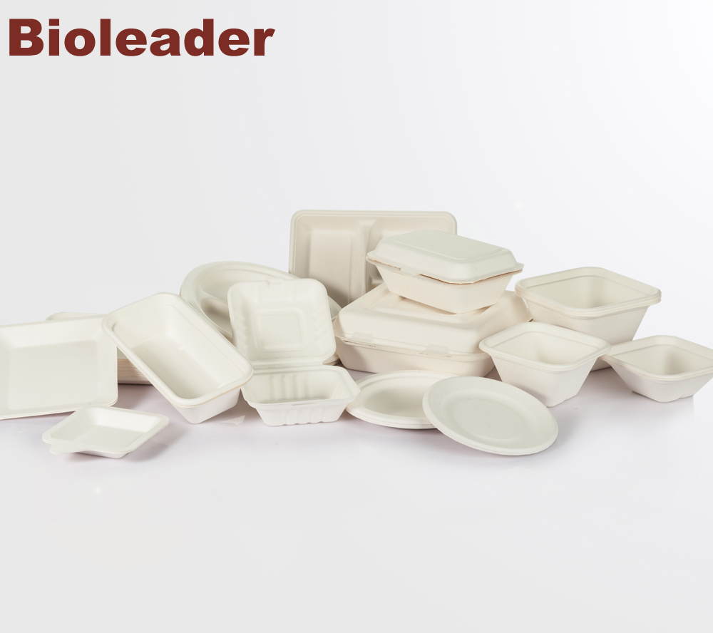 Sugarcane bagasse disposable tableware