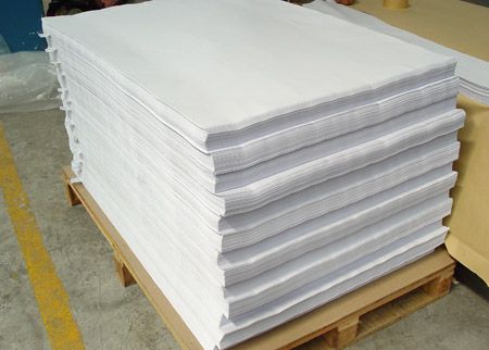 sugarcane paper cardboard