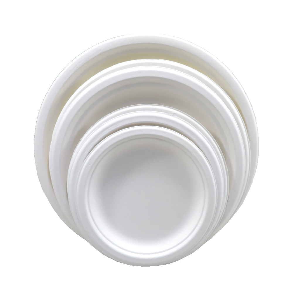 Bagasse Plates