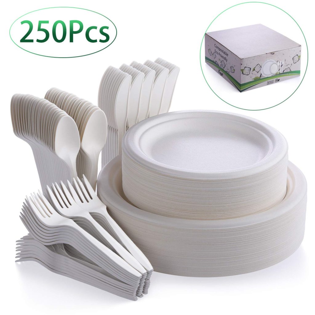 Biodegradable Plates and Cutlery Set