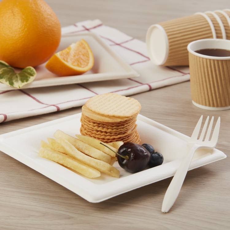 Square Bagasse Biodegradable Plates