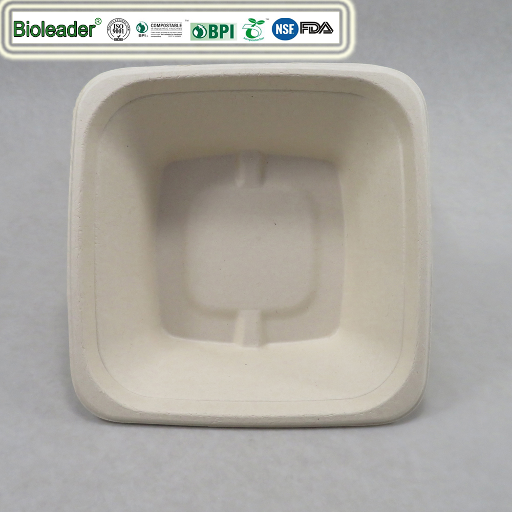 Square Bagasse Container