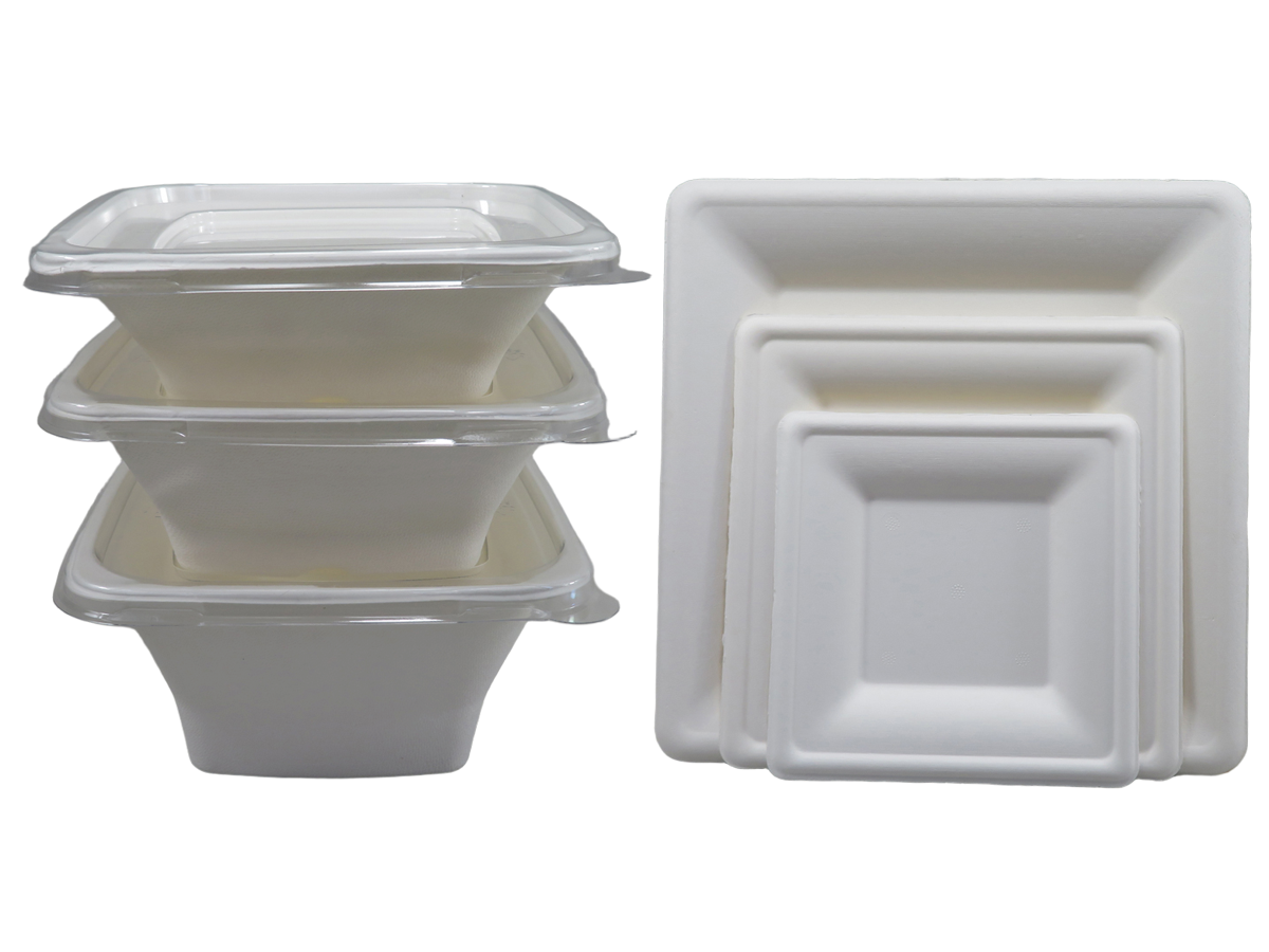 Square Bagasse