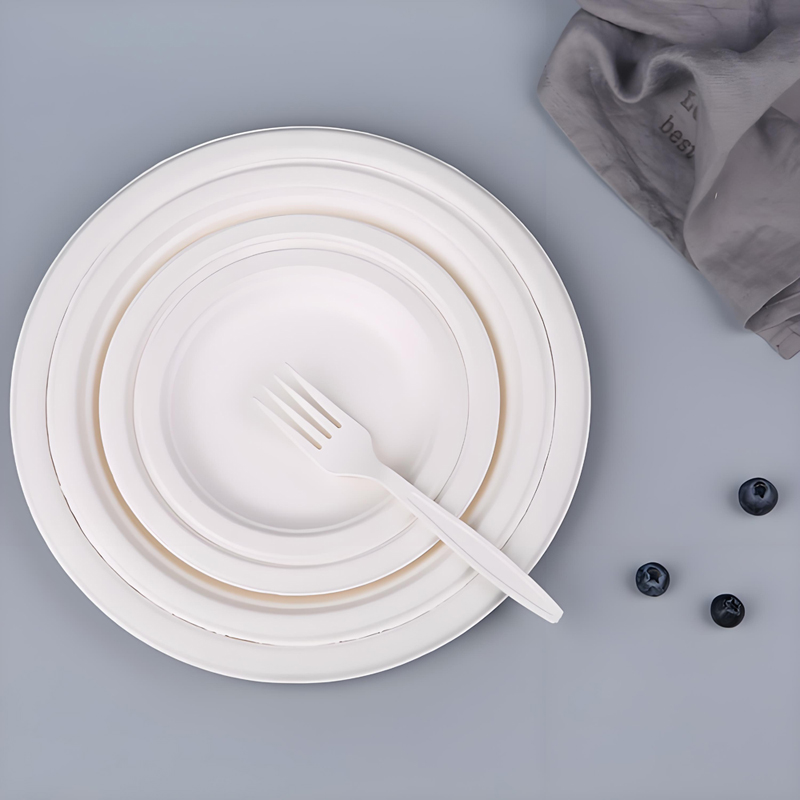 Standard Size Disposable Paper Plate