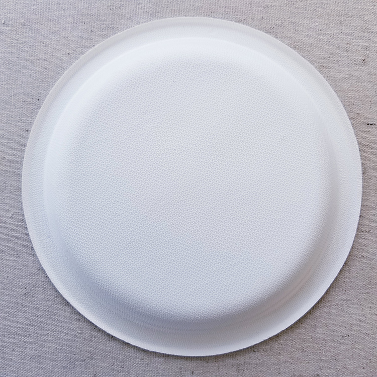 Sugarcane Bagasse Paper Plates Eco Friendly Food Safe