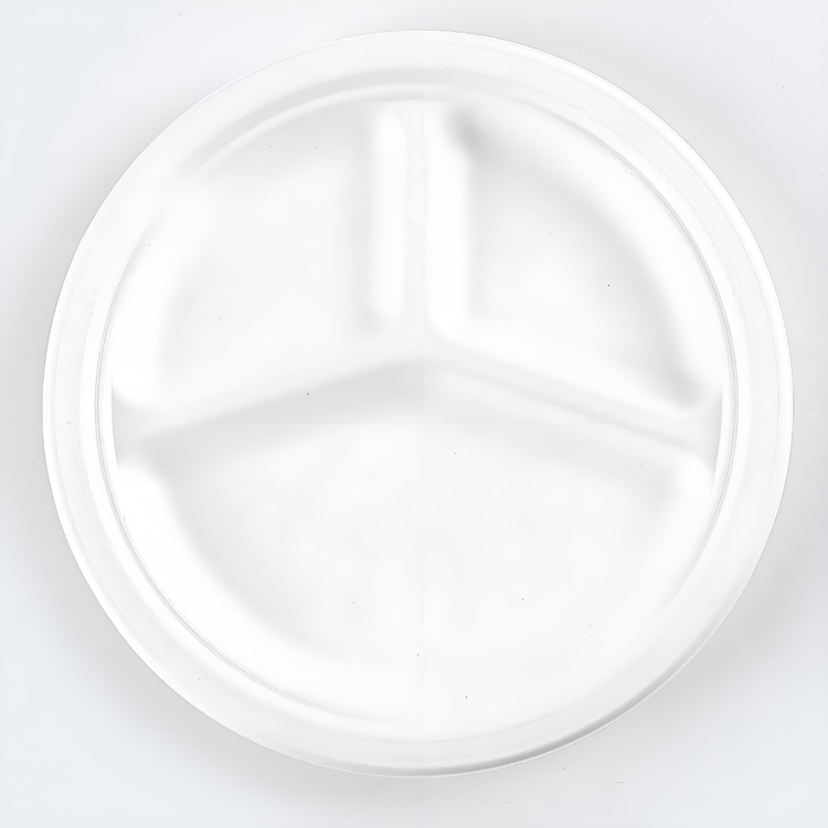 paper dinner plate 10 inch