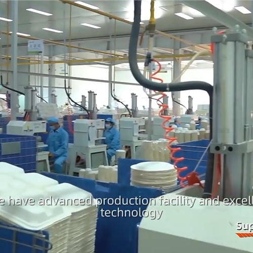 Production Process Of Sugarcane Bagasse Pulp Molding Tableware