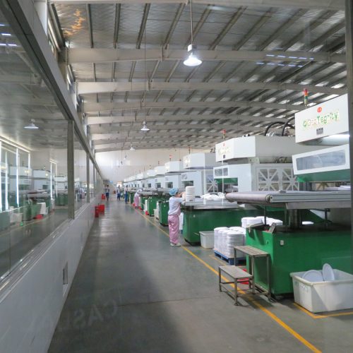 pulp molding full automated production line