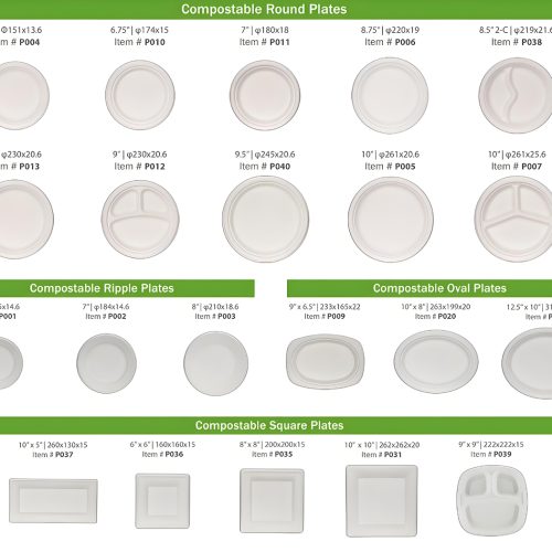 Bagasse Plates