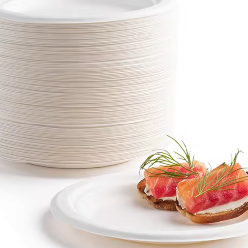 Disposable Compostable Wedding Plates Paper Biodegradable Bulk